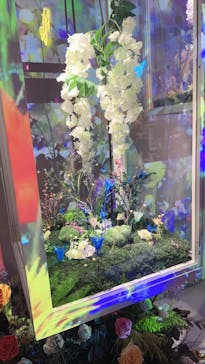 NAKED FLOWERS FOR YOU（ネイキッドフラワーズフォーユー）に投稿された画像（2023/2/21）