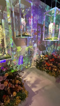 NAKED FLOWERS FOR YOU（ネイキッドフラワーズフォーユー）に投稿された画像（2023/2/21）