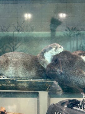 サンシャイン水族館に投稿された画像（2023/2/21）