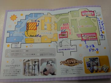 ナンジャタウンに投稿された画像（2023/2/21）