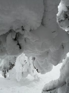 阿仁スキー場に投稿された画像（2023/2/21）