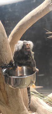 カワスイ 川崎⽔族館に投稿された画像（2023/2/21）