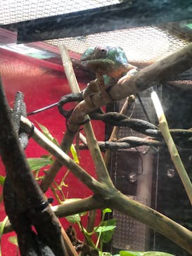 カワスイ 川崎⽔族館に投稿された画像（2023/2/21）