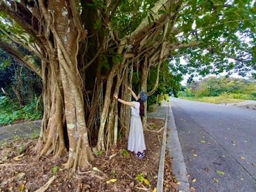 石垣島アドベンチャーフォトツアーKIBOUに投稿された画像（2023/2/21）