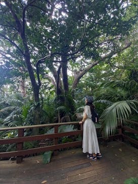 石垣島アドベンチャーフォトツアーKIBOUに投稿された画像（2023/2/21）