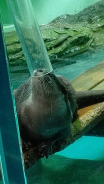 しながわ水族館に投稿された画像（2023/2/21）