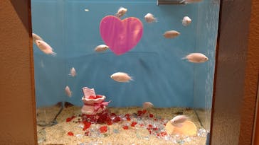 しながわ水族館に投稿された画像（2023/2/21）