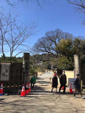 三溪園に投稿された画像（2023/2/21）