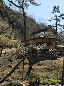 三溪園に投稿された画像（2023/2/21）