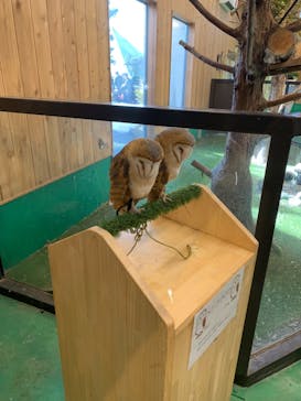 伊豆シャボテン動物公園に投稿された画像（2023/2/21）