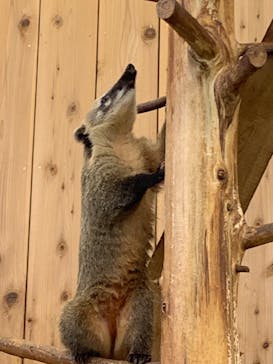 伊豆シャボテン動物公園に投稿された画像（2023/2/21）