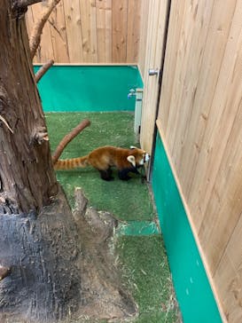 伊豆シャボテン動物公園に投稿された画像（2023/2/21）