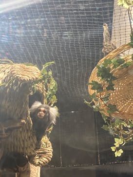 カワスイ 川崎⽔族館に投稿された画像（2023/2/21）