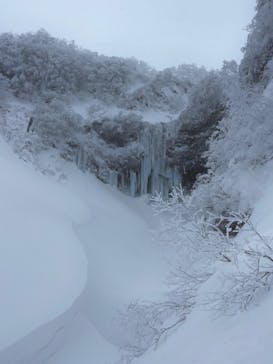 YAMAGATA EXPERIENCE（ヤマガタ エクスペリエンス）に投稿された画像（2023/2/21）