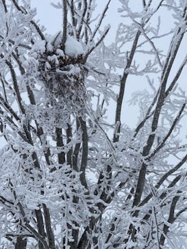 YAMAGATA EXPERIENCE（ヤマガタ エクスペリエンス）に投稿された画像（2023/2/21）