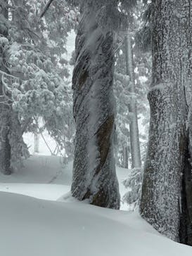 YAMAGATA EXPERIENCE（ヤマガタ エクスペリエンス）に投稿された画像（2023/2/21）