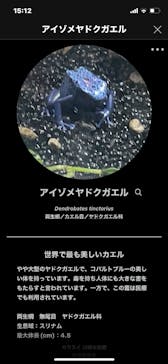 カワスイ 川崎⽔族館に投稿された画像（2023/2/21）