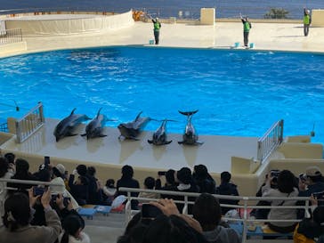 マリンワールド海の中道に投稿された画像（2023/2/22）