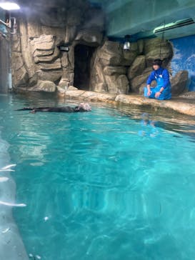 マリンワールド海の中道に投稿された画像（2023/2/22）