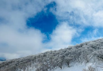 びわ湖バレイに投稿された画像（2023/2/22）