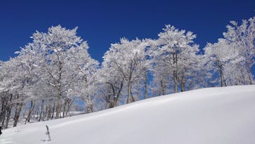 スキージャム勝山に投稿された画像（2023/2/22）