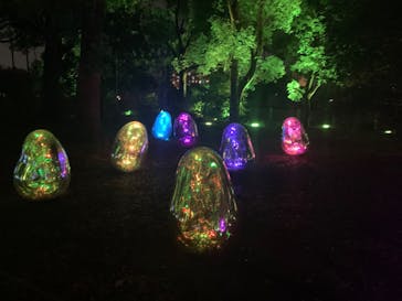 チームラボ ボタニカルガーデン 大阪に投稿された画像（2023/2/22）