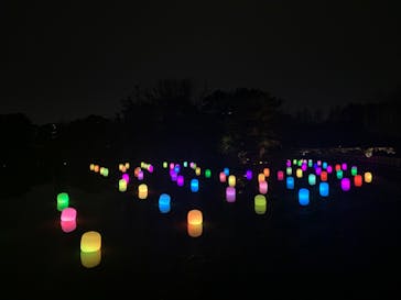 チームラボ ボタニカルガーデン 大阪に投稿された画像（2023/2/22）