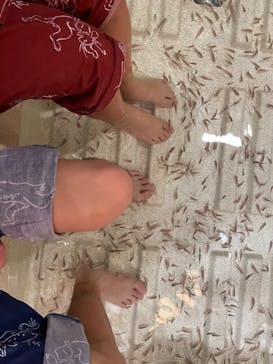 有馬温泉 太閤の湯に投稿された画像（2023/2/22）