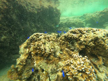 沖縄マリンサービス碧に投稿された画像（2023/2/22）