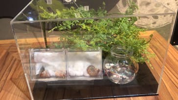 カワスイ 川崎⽔族館に投稿された画像（2023/2/22）