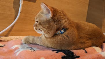 カワスイ 川崎⽔族館に投稿された画像（2023/2/22）