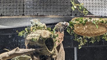 カワスイ 川崎⽔族館に投稿された画像（2023/2/22）