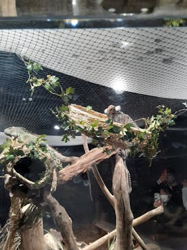 カワスイ 川崎⽔族館に投稿された画像（2023/2/22）