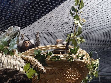 カワスイ 川崎⽔族館に投稿された画像（2023/2/22）