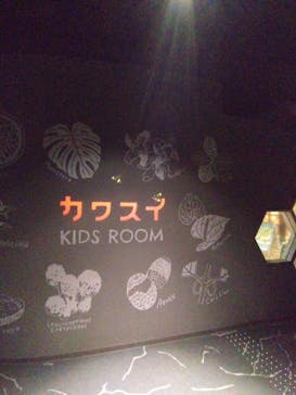 カワスイ 川崎⽔族館に投稿された画像（2023/2/22）