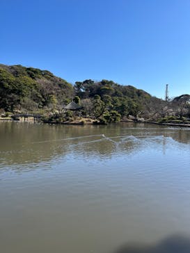 三溪園に投稿された画像（2023/2/22）