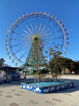 国営ひたち海浜公園プレジャーガーデンに投稿された画像（2023/2/22）