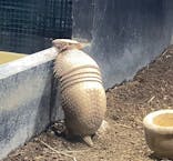 カワスイ 川崎⽔族館に投稿された画像（2023/2/22）