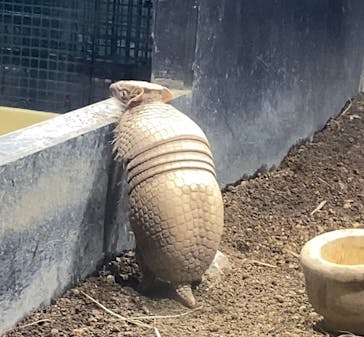 カワスイ 川崎⽔族館に投稿された画像（2023/2/22）