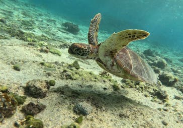 宮古島 ADVENTURE PiPi（ミヤコジマ アドベンチャー ピピ）に投稿された画像（2023/2/20）