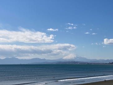 新江ノ島水族館に投稿された画像（2023/2/22）