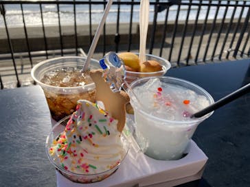 新江ノ島水族館に投稿された画像（2023/2/22）