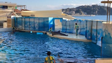 新江ノ島水族館に投稿された画像（2023/2/22）