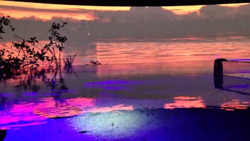 カワスイ 川崎⽔族館に投稿された画像（2023/2/22）