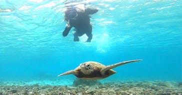 宮古島 ADVENTURE PiPi（ミヤコジマ アドベンチャー ピピ）に投稿された画像（2023/2/22）