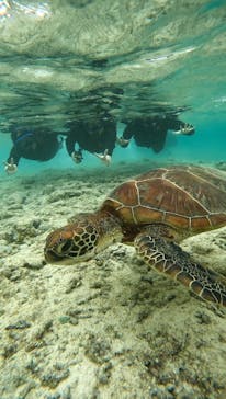 宮古島 ADVENTURE PiPi（ミヤコジマ アドベンチャー ピピ）に投稿された画像（2023/2/22）