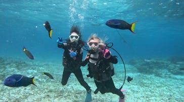 青の洞窟専門店　沖縄ダイビングショップ和に投稿された画像（2023/2/22）