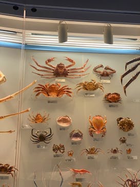 国立科学博物館に投稿された画像（2023/2/22）