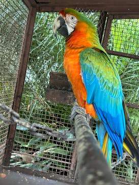 熱川バナナワニ園に投稿された画像（2023/2/22）