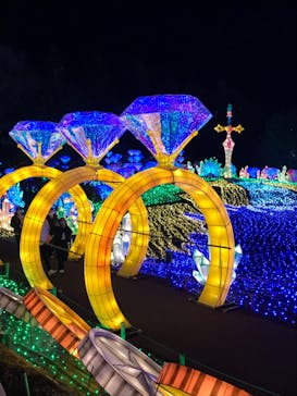 伊豆ぐらんぱる公園に投稿された画像（2023/2/22）